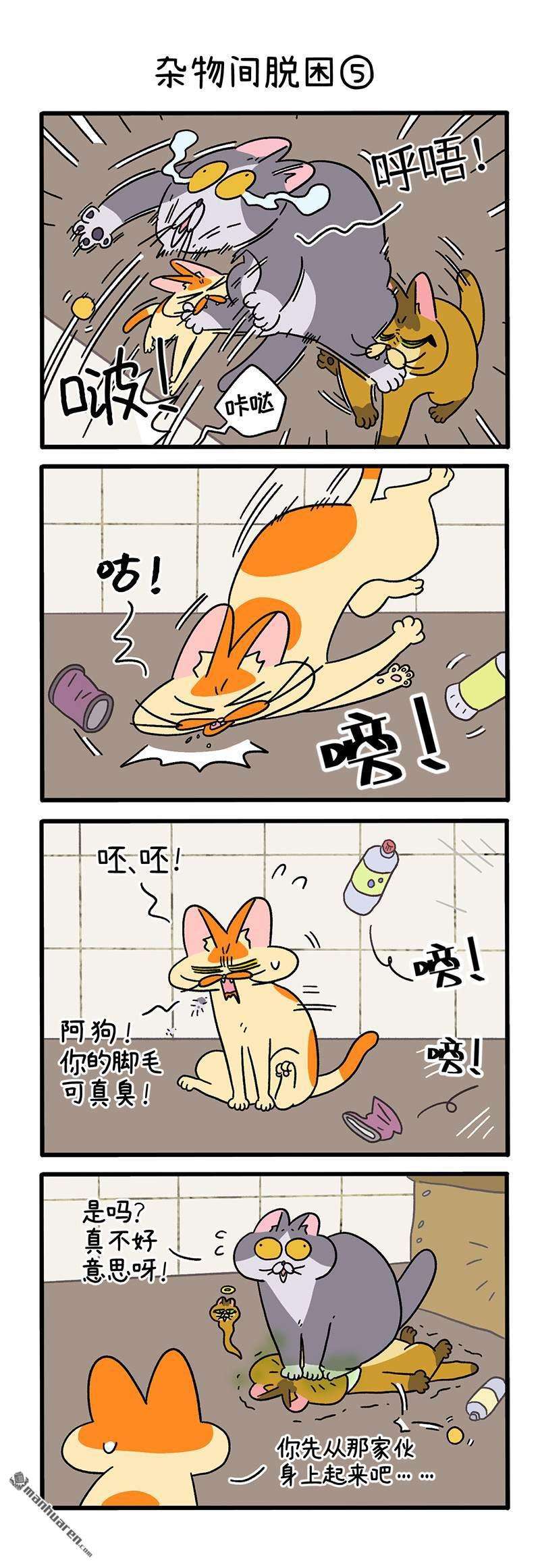 阿满和麦茶第73话 杂物间脱困（下）