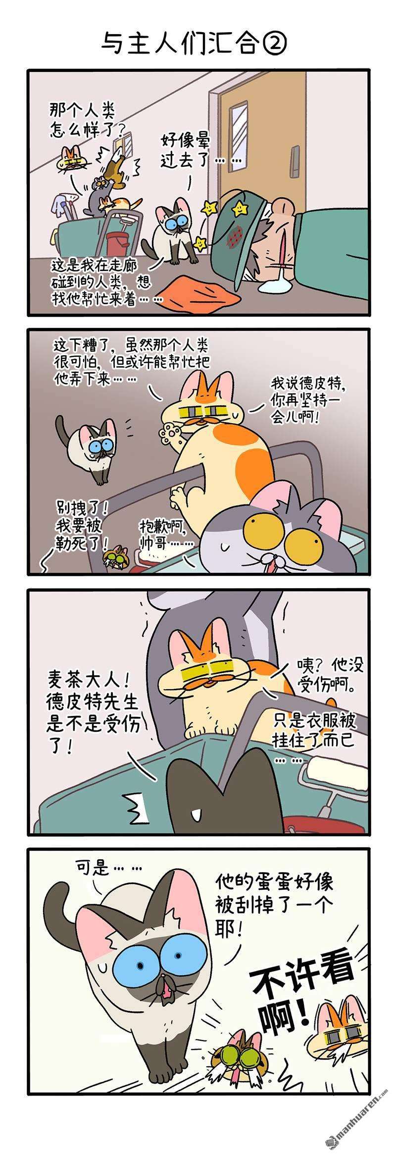 阿满和麦茶第75话 与主人们汇合（上）