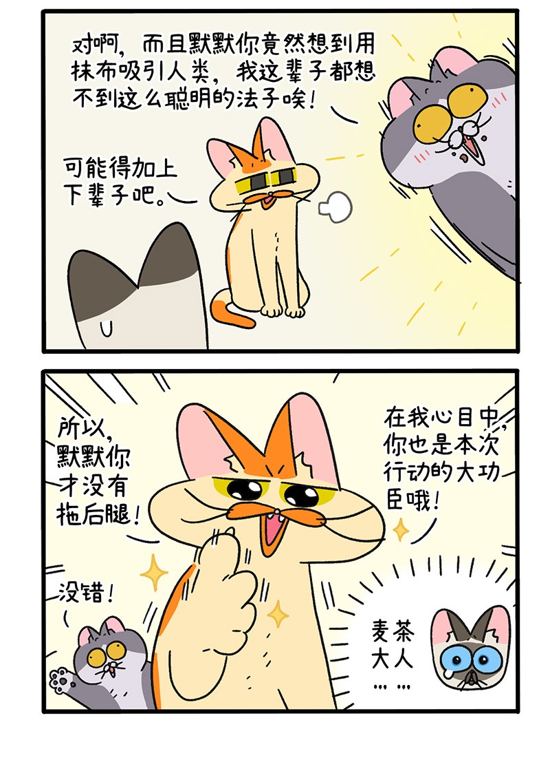 阿满和麦茶第79话 默默是大功臣