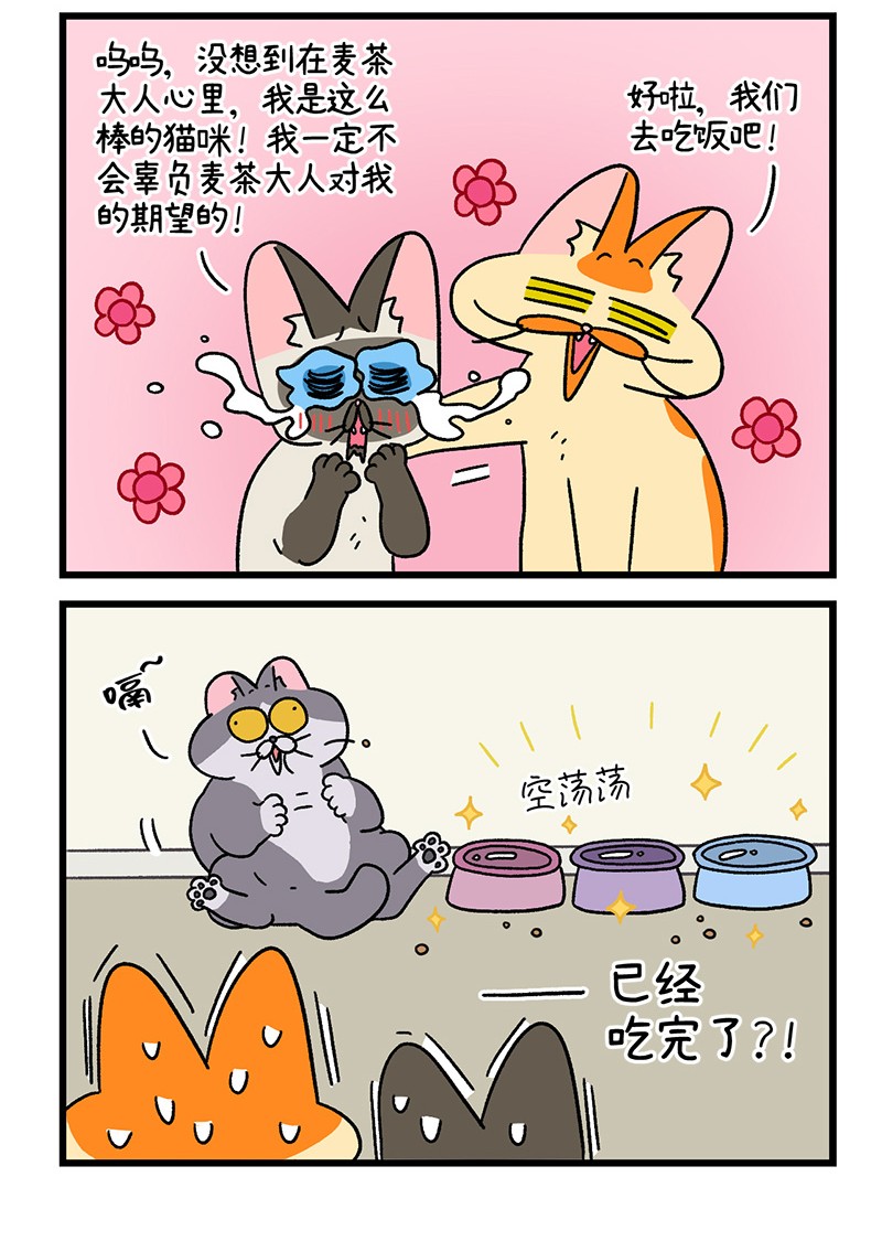 阿满和麦茶第79话 默默是大功臣