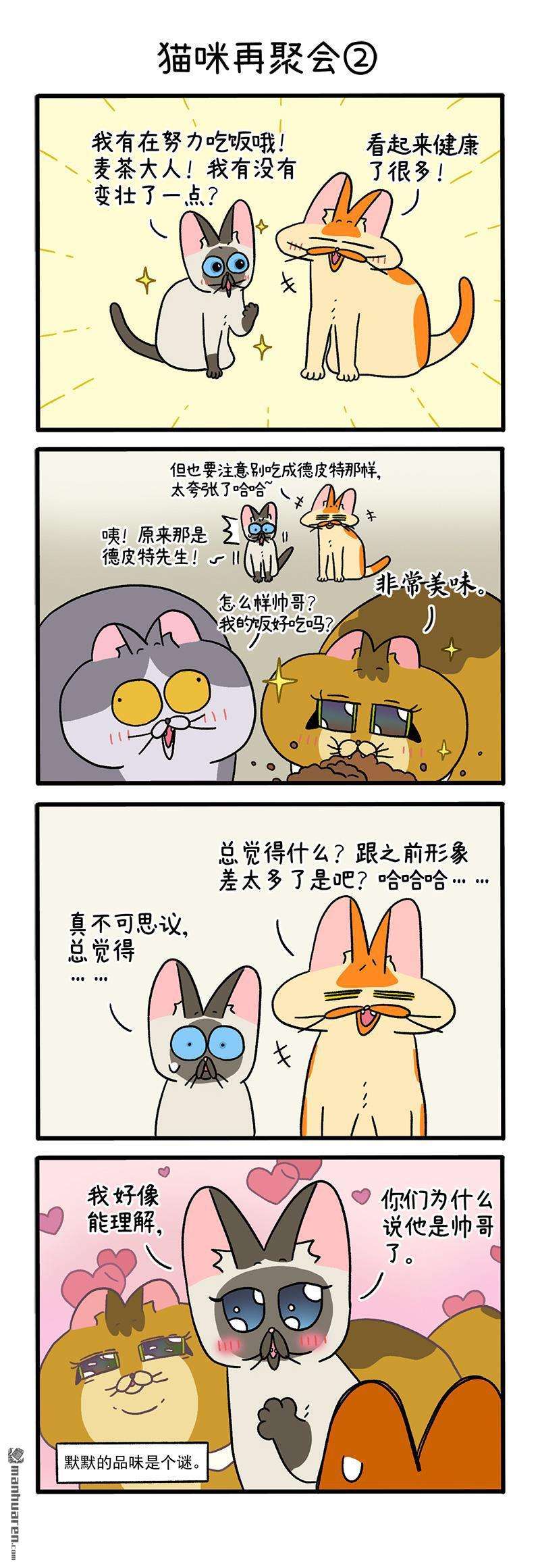 阿满和麦茶第82话 猫咪再聚会（上）