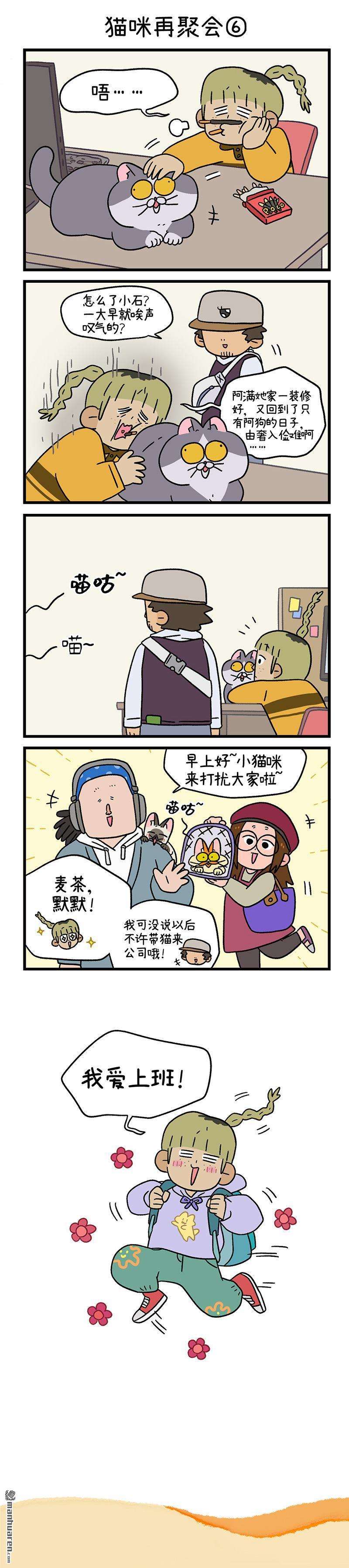 阿满和麦茶第82话 猫咪再聚会（下）