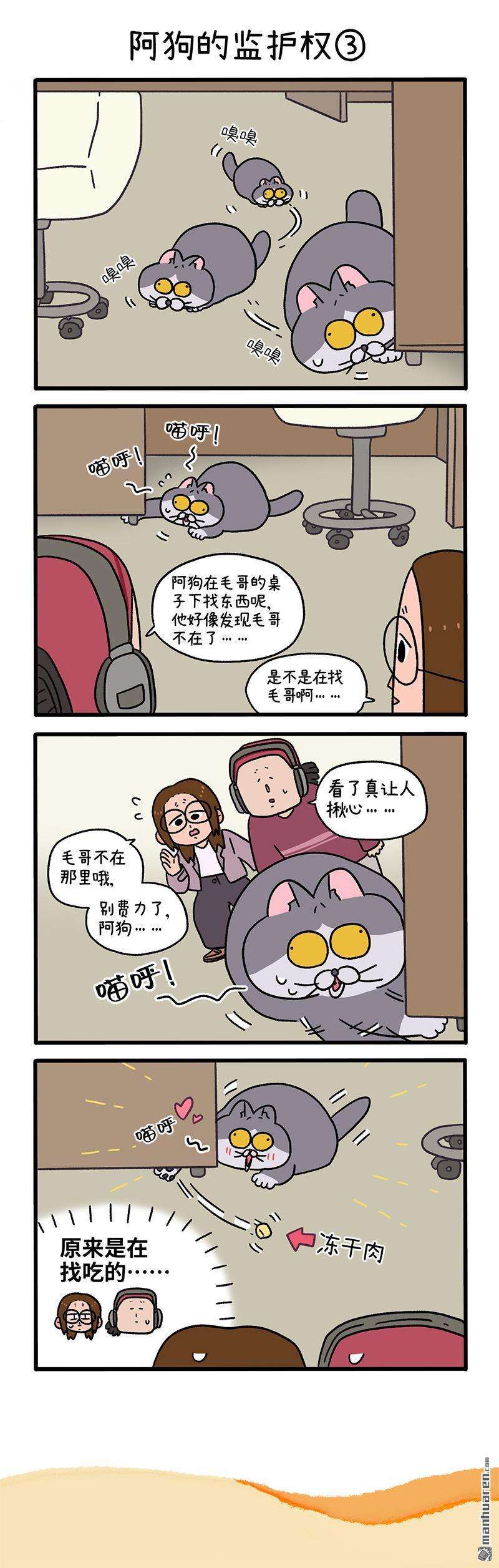 阿满和麦茶第88话 阿狗的监护权（上）