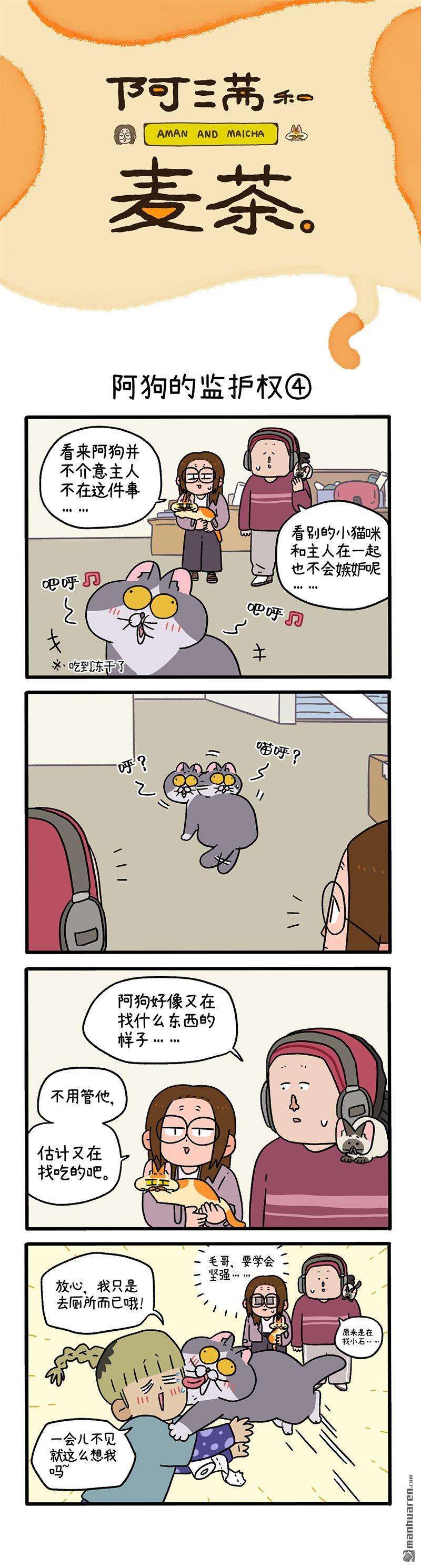 阿满和麦茶第88话 阿狗的监护权（下）