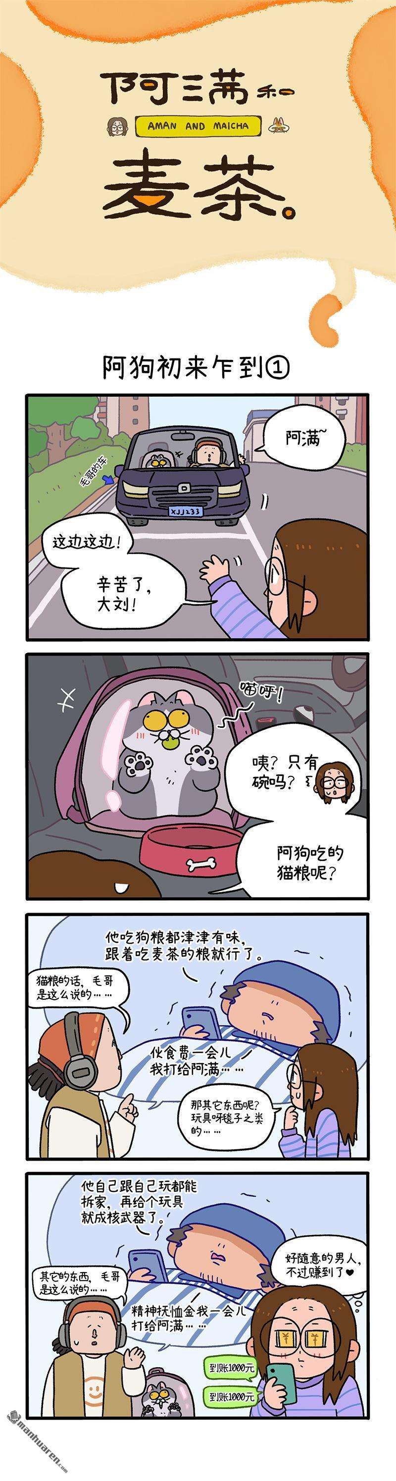 阿满和麦茶第89话 阿狗初来乍到（上）