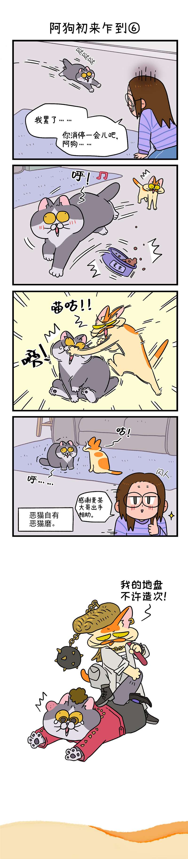 阿满和麦茶第89话下 阿狗初来乍到（下）
