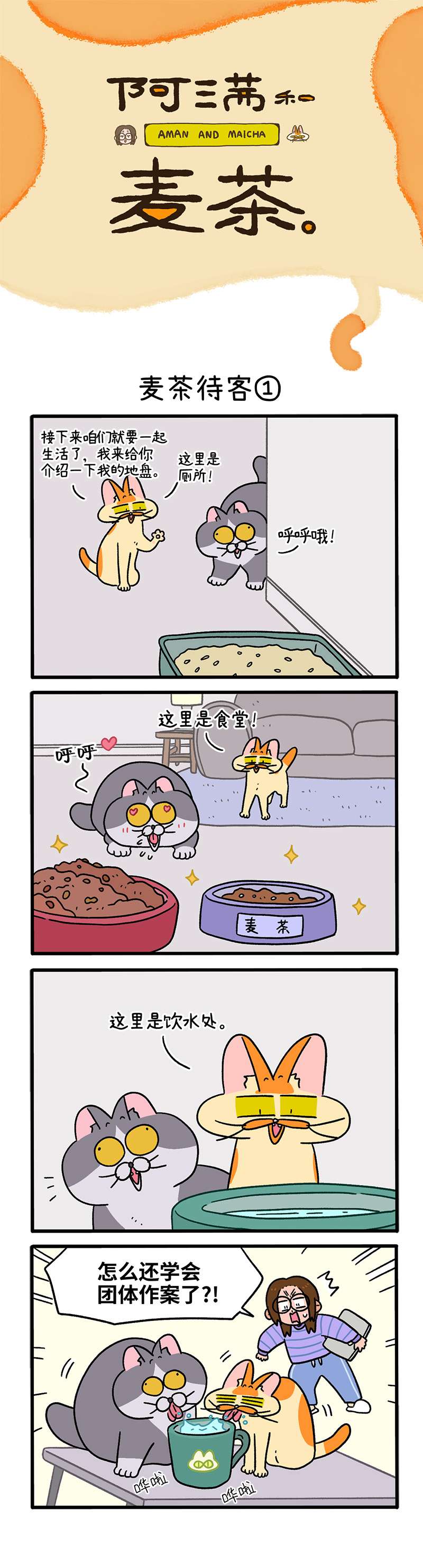 阿满和麦茶第90话 麦茶待客
