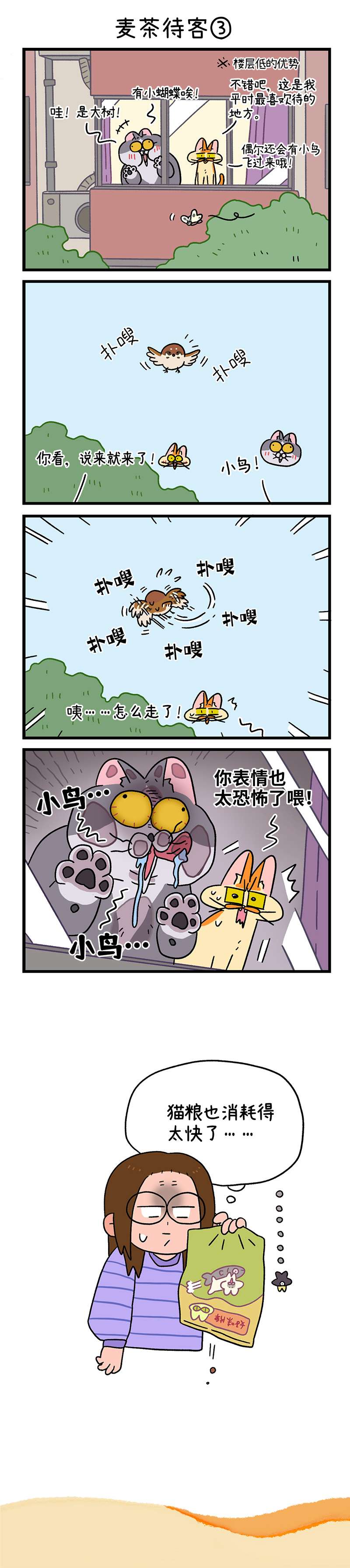 阿满和麦茶第90话 麦茶待客
