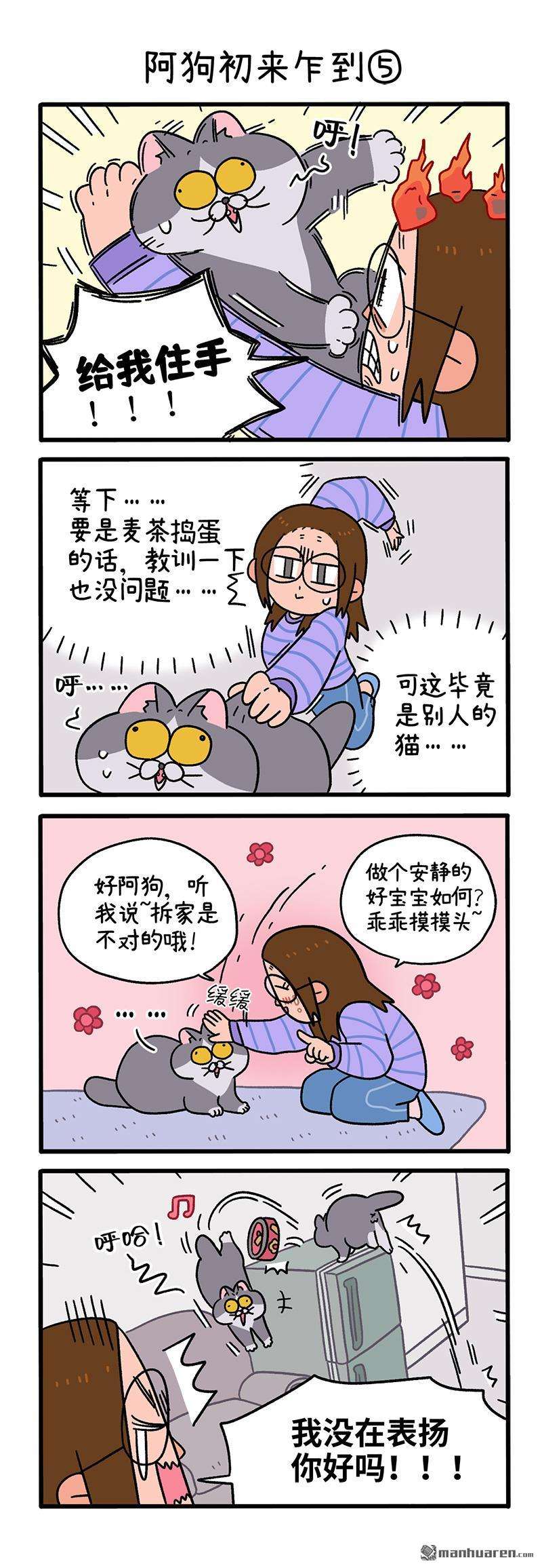 阿满和麦茶第89话 阿狗初来乍到（下）