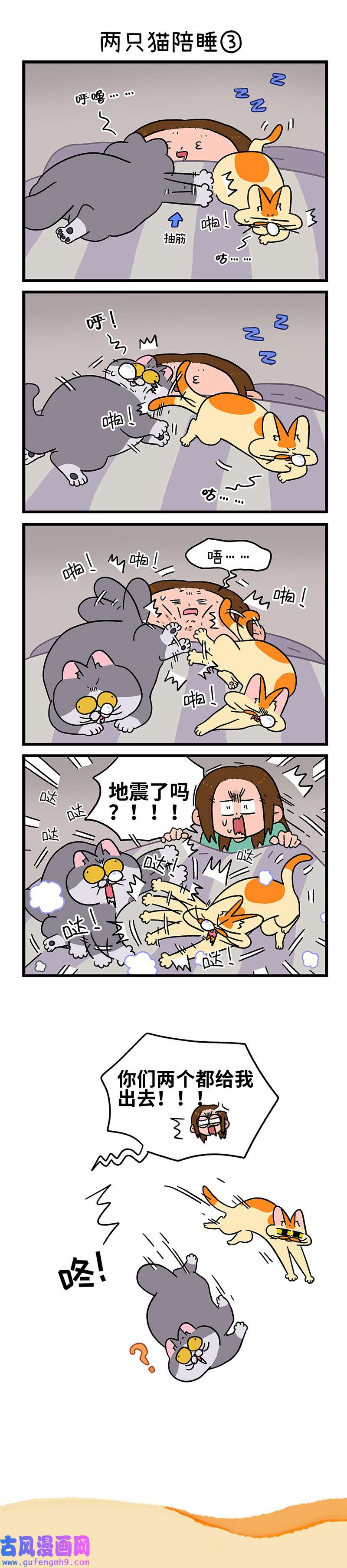 阿满和麦茶第93话 两只猫陪睡