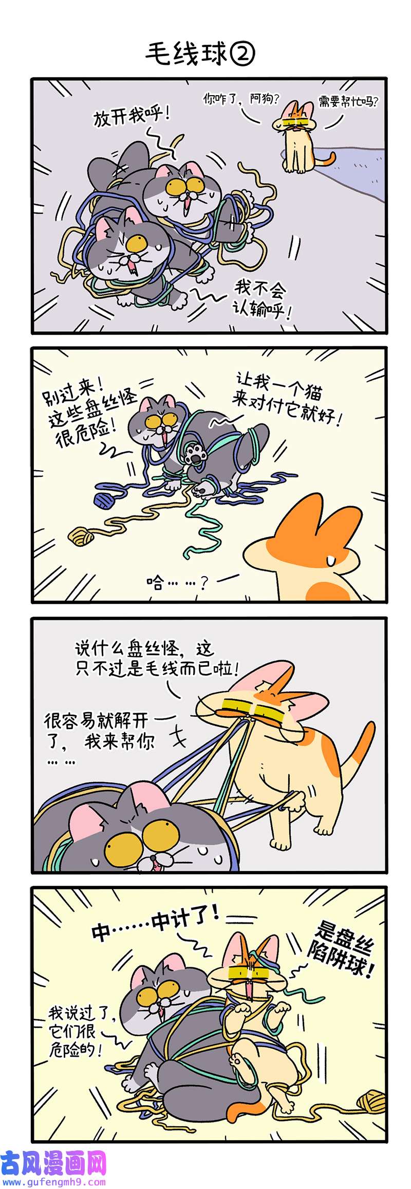 阿满和麦茶第94话 毛线球