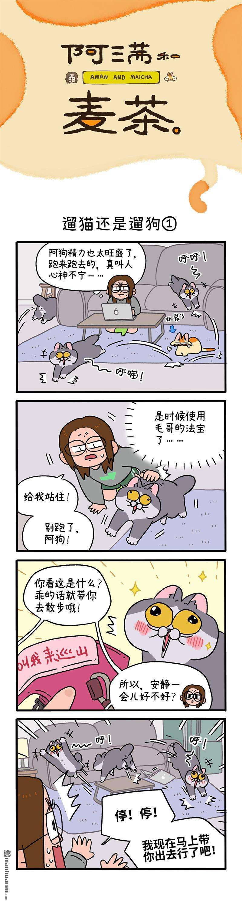 阿满和麦茶第95话 遛猫还是遛狗（上）