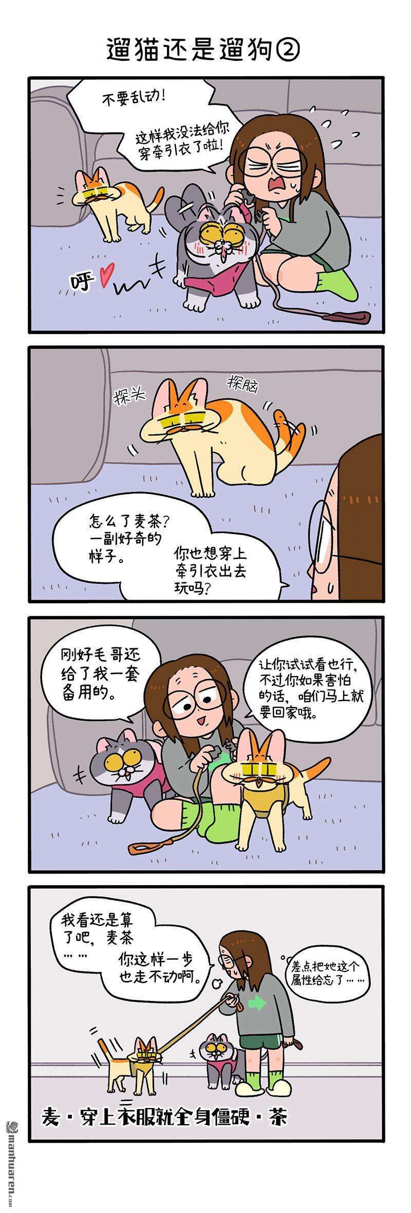 阿满和麦茶第95话 遛猫还是遛狗（上）