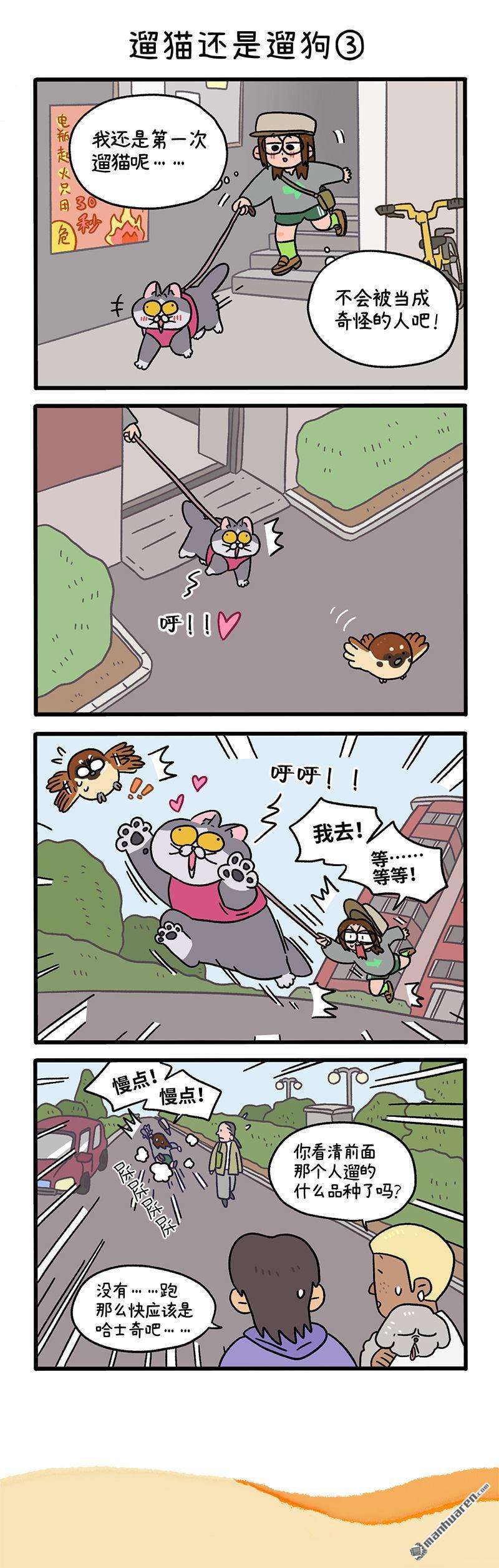 阿满和麦茶第95话 遛猫还是遛狗（上）