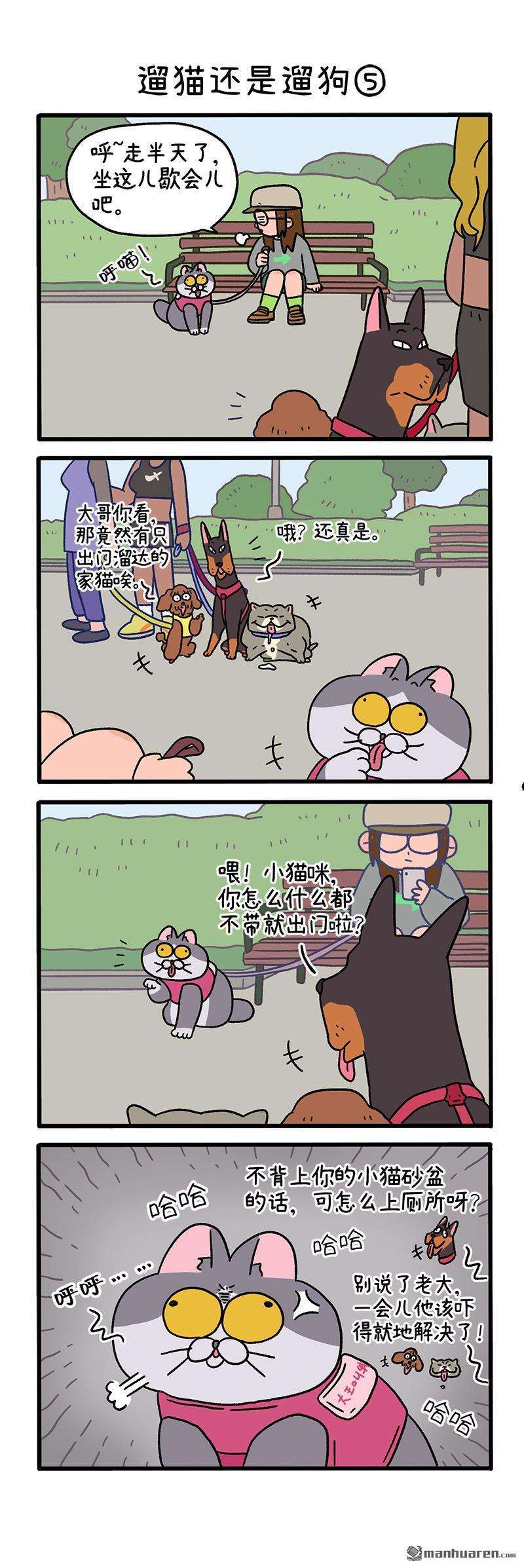 阿满和麦茶第95话 遛猫还是遛狗（下）