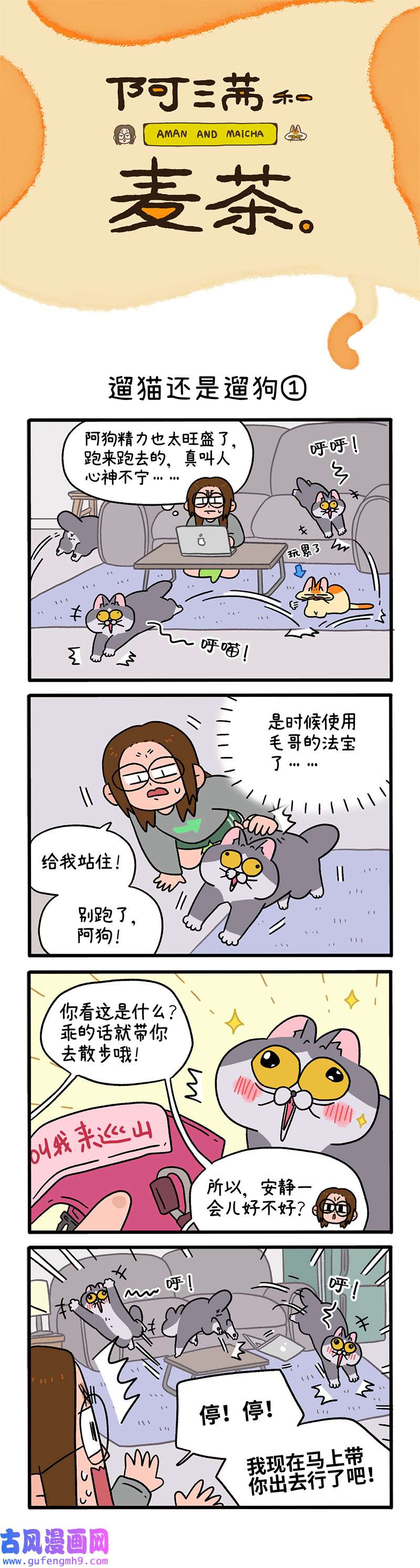 阿满和麦茶第95话上 遛猫还是遛狗（上）
