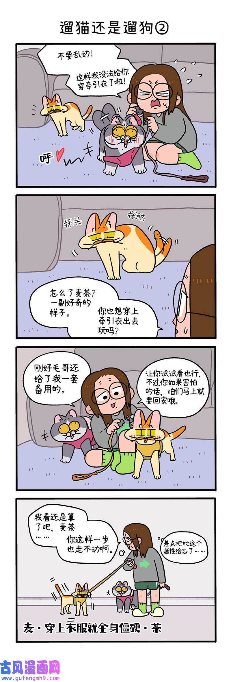 阿满和麦茶第95话上 遛猫还是遛狗（上）