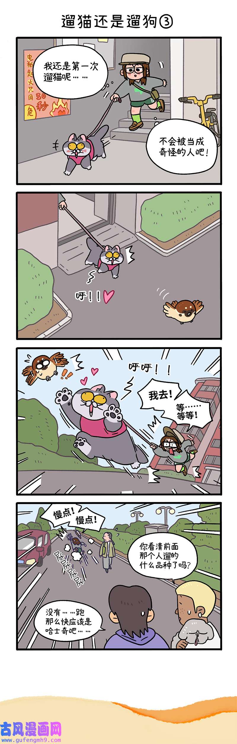 阿满和麦茶第95话上 遛猫还是遛狗（上）