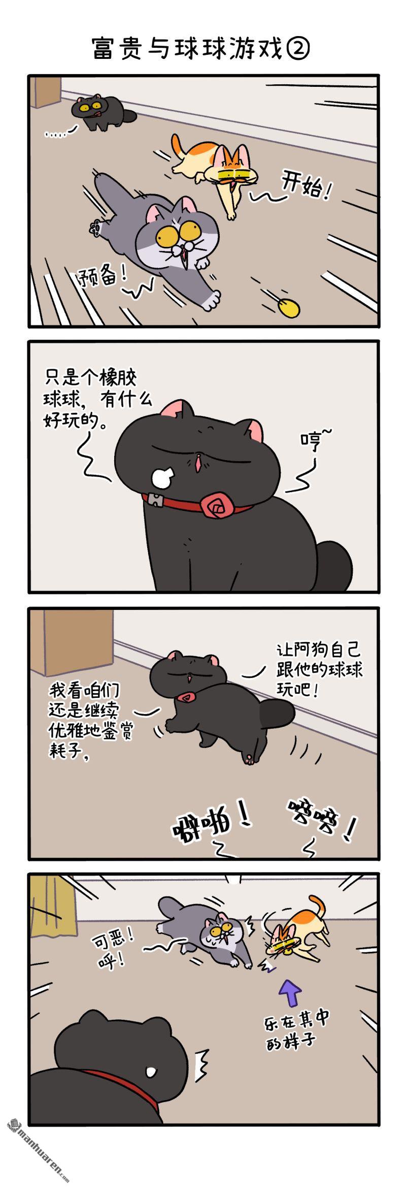 阿满和麦茶第99话 富贵与球球游戏（上）