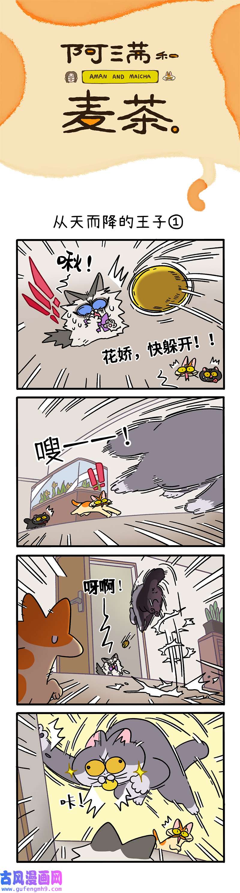 阿满和麦茶第100话上 从天而降的王子（上）