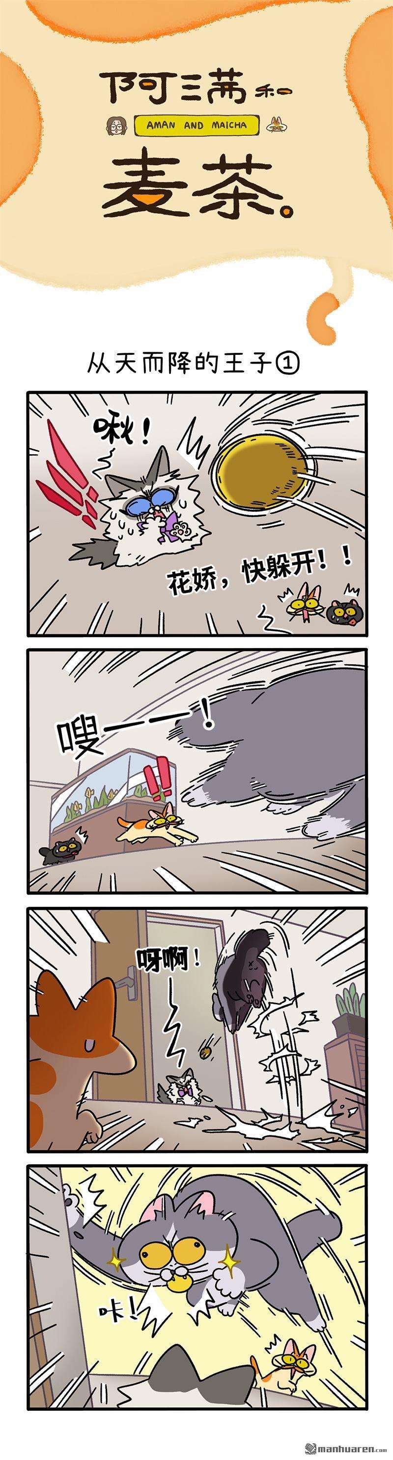 阿满和麦茶第100话 从天而降的王子（上）