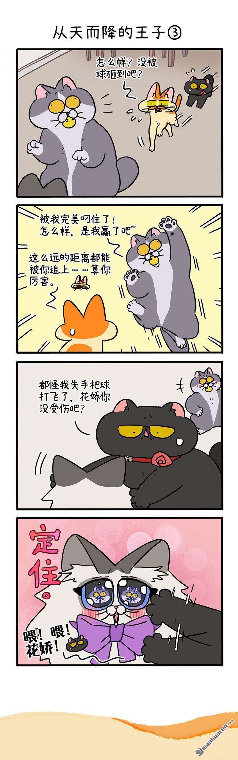阿满和麦茶第100话 从天而降的王子（上）
