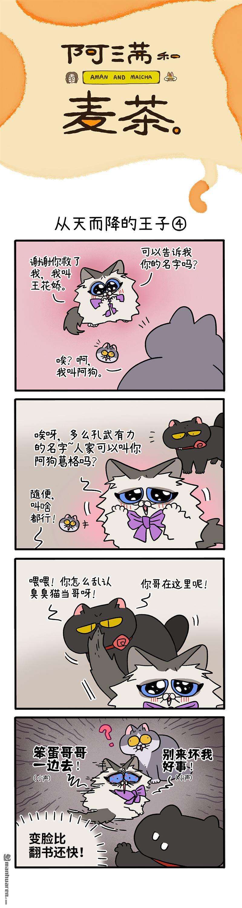 阿满和麦茶第101话 从天而降的王子（下）
