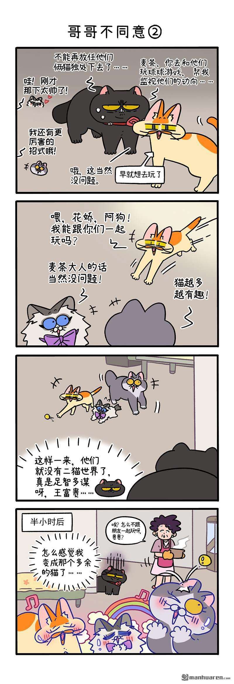 阿满和麦茶第101话 哥哥不同意（上）