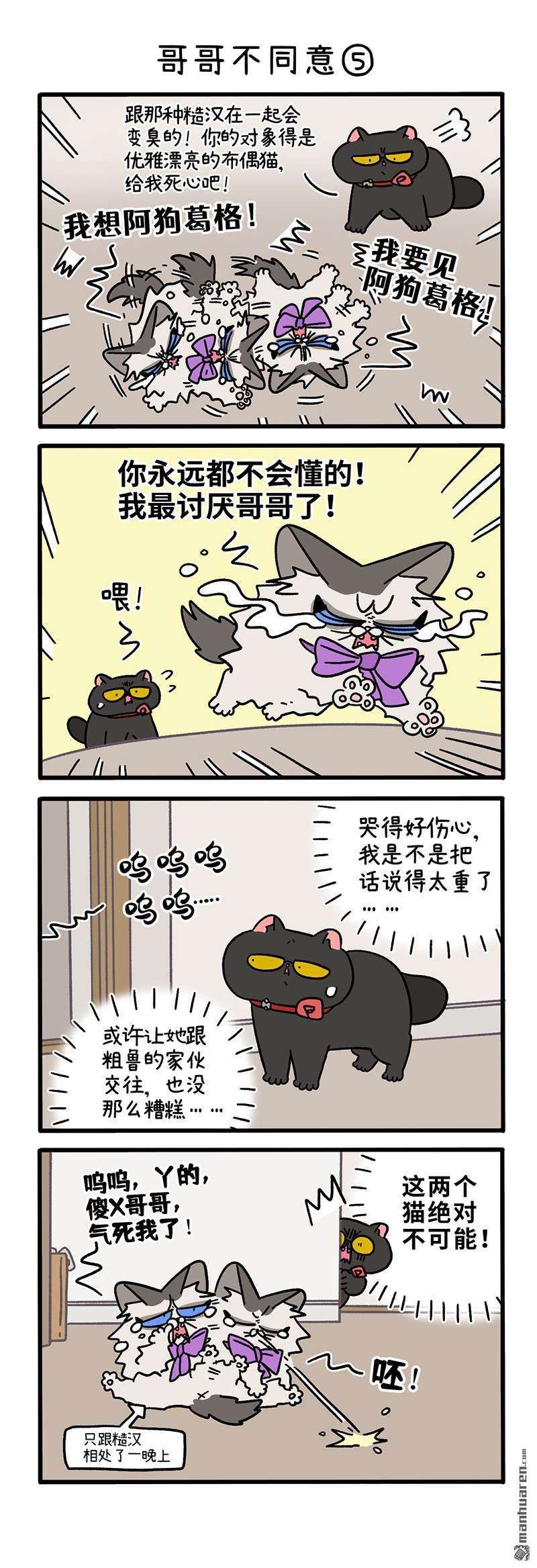 阿满和麦茶第101话 哥哥不同意（下）