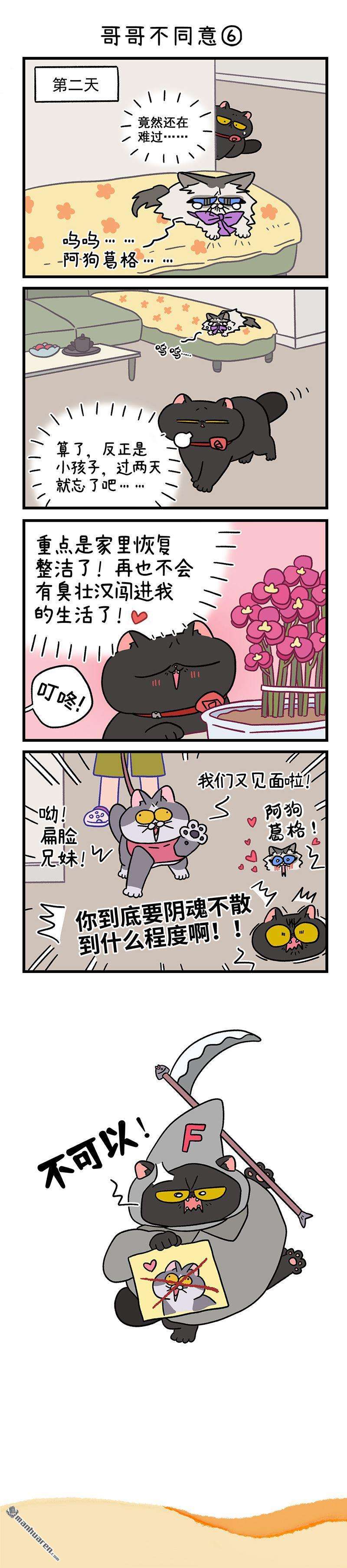 阿满和麦茶第101话 哥哥不同意（下）