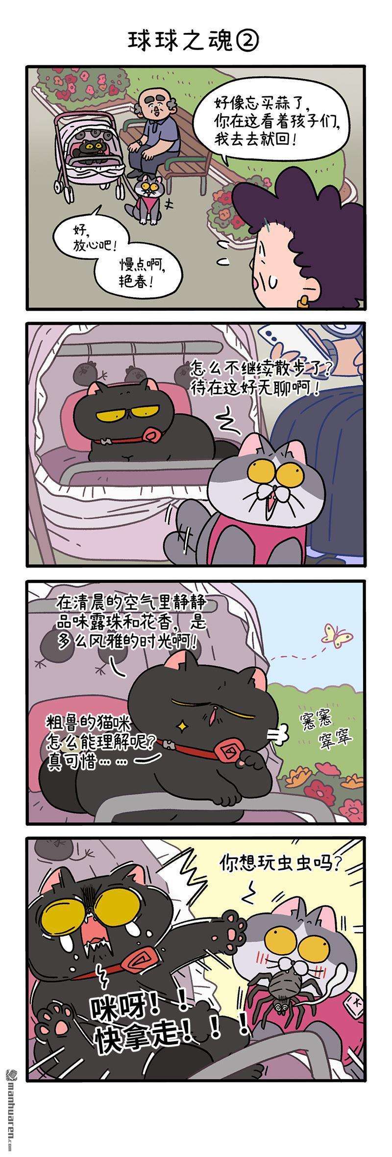 阿满和麦茶第103话 球球之魂（上）