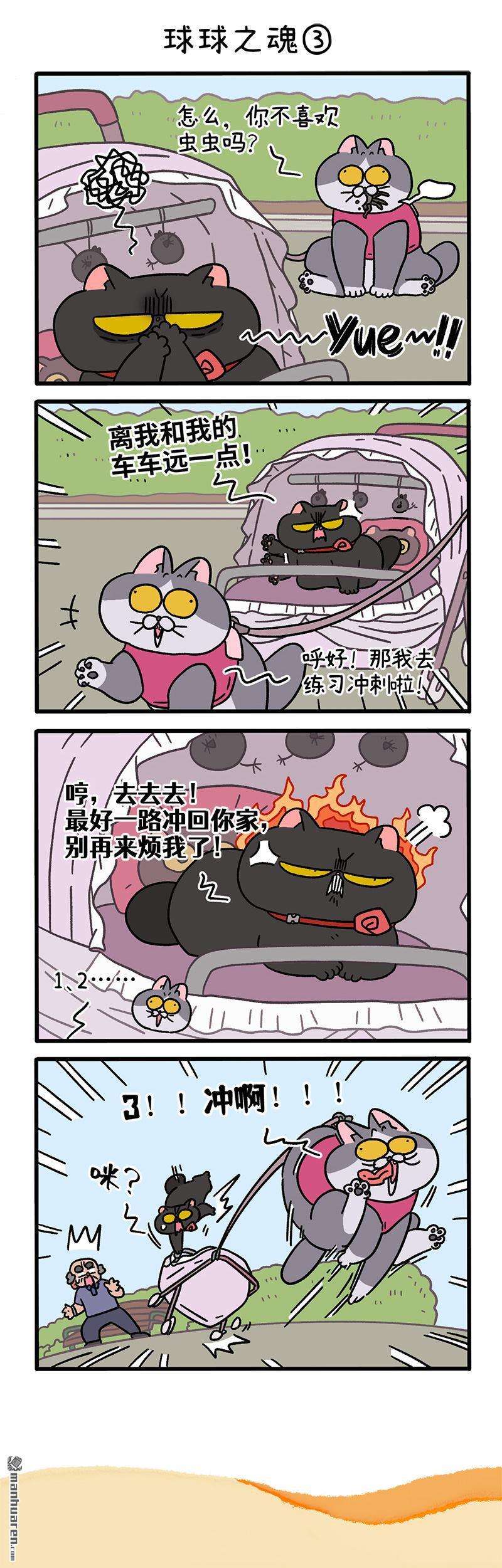 阿满和麦茶第103话 球球之魂（上）