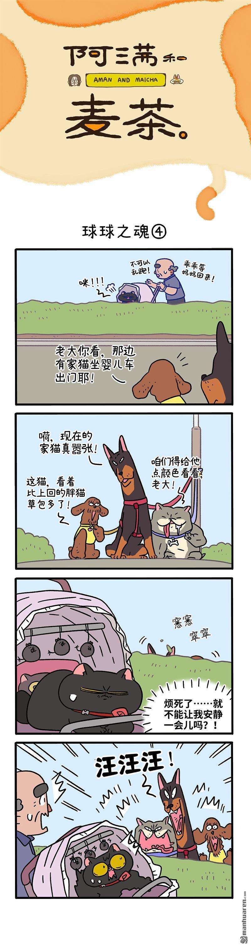 阿满和麦茶第103话 球球之魂（下）