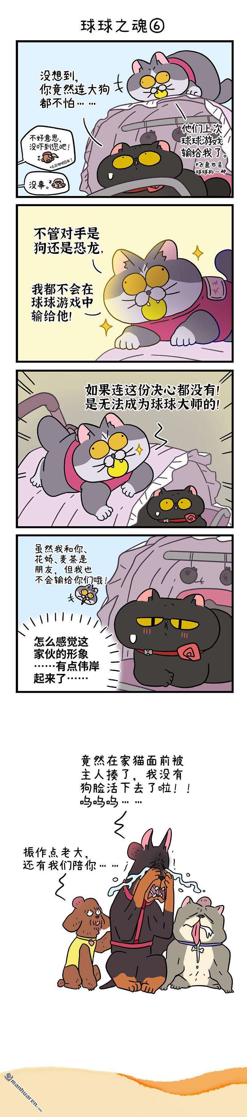 阿满和麦茶第103话 球球之魂（下）