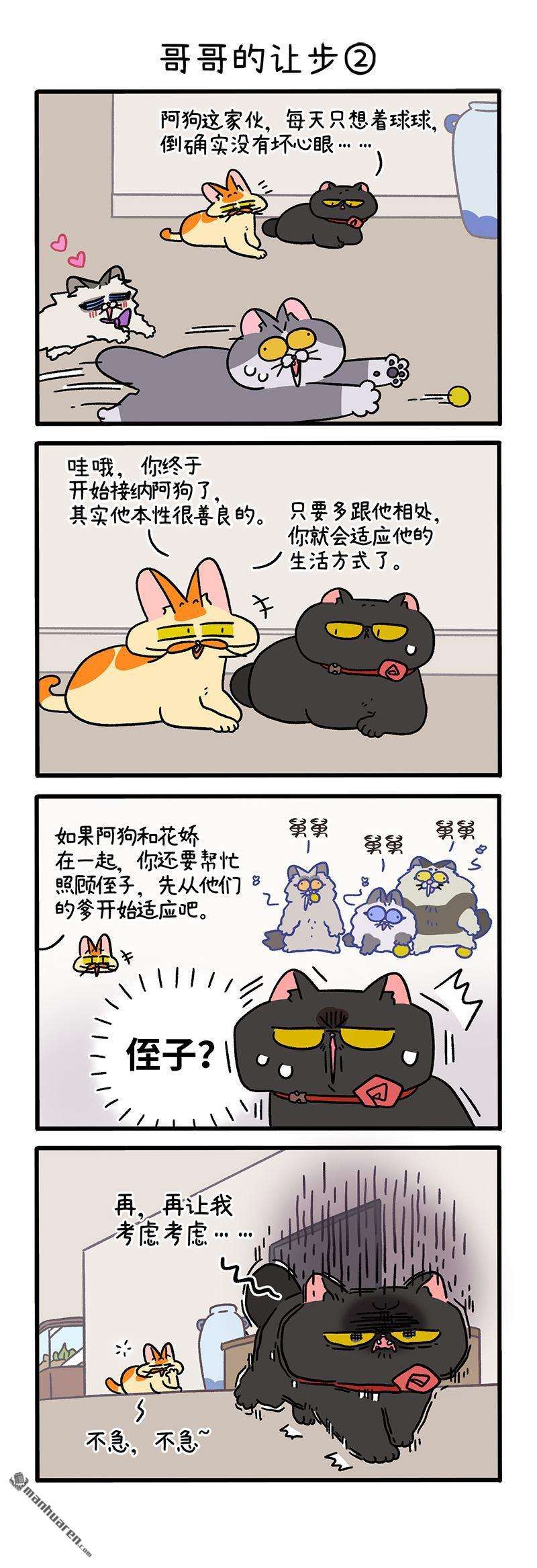 阿满和麦茶第104话 哥哥的让步（上）