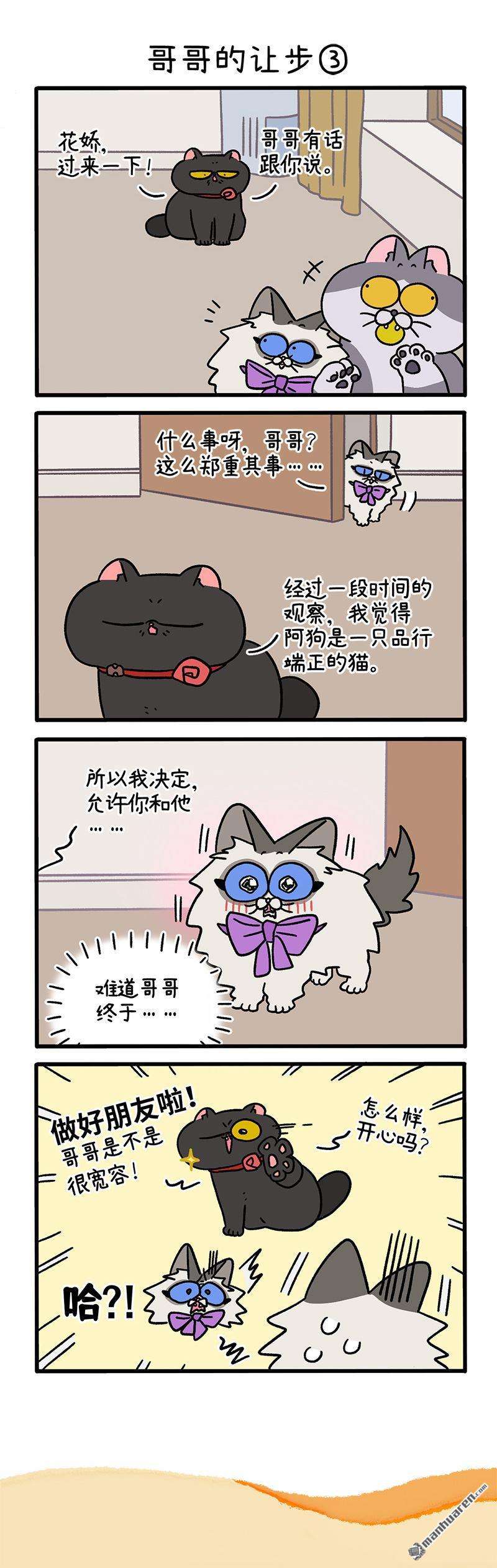 阿满和麦茶第104话 哥哥的让步（上）