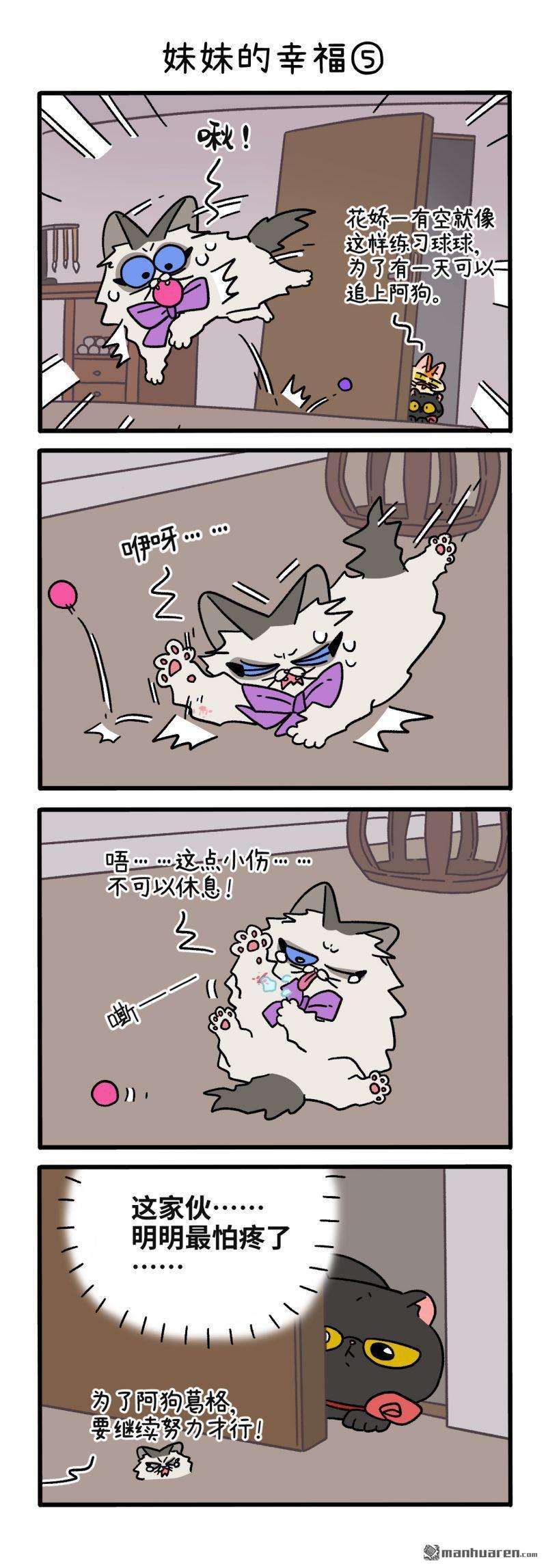 阿满和麦茶第105话 妹妹的幸福（下）