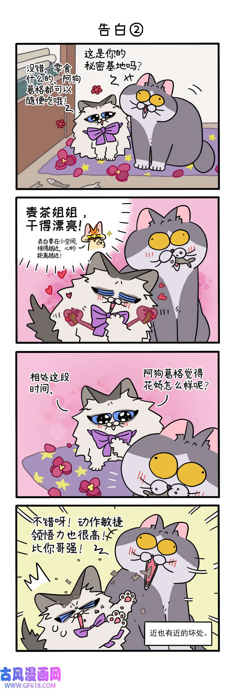 阿满和麦茶第107话上 告白（上）