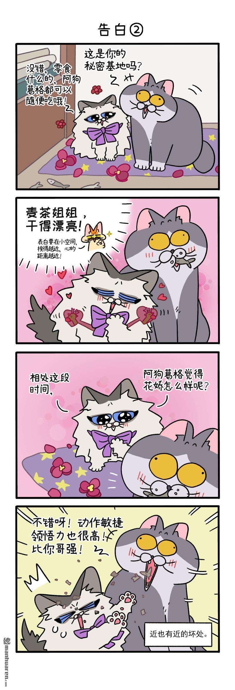 阿满和麦茶第107话 告白（上）