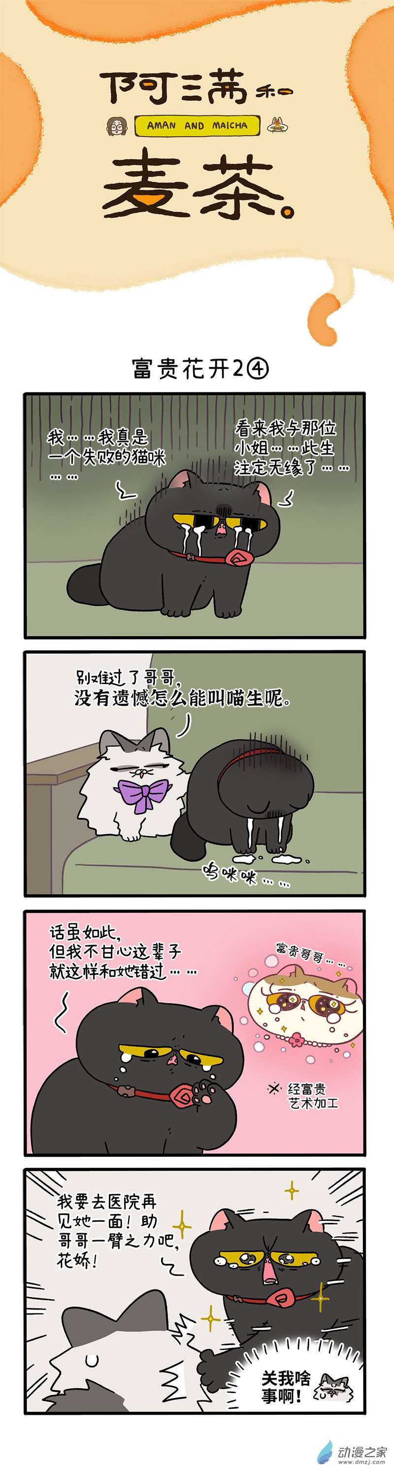 阿满和麦茶番外21下 富贵花开2（下）