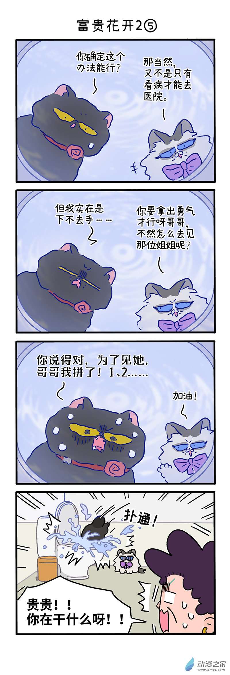 阿满和麦茶番外21下 富贵花开2（下）