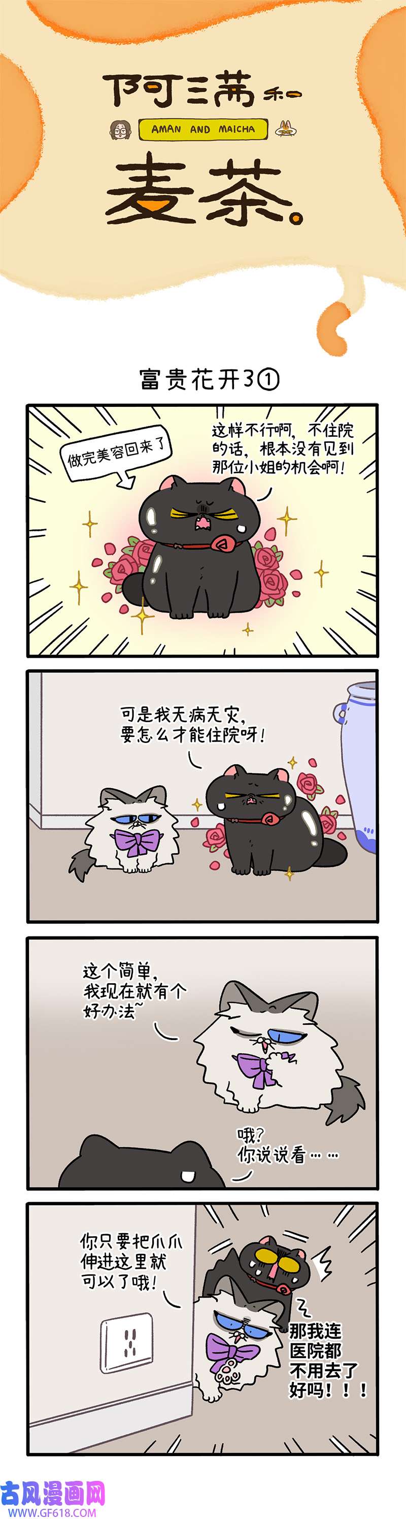 阿满和麦茶番外22上 富贵花开3（上）