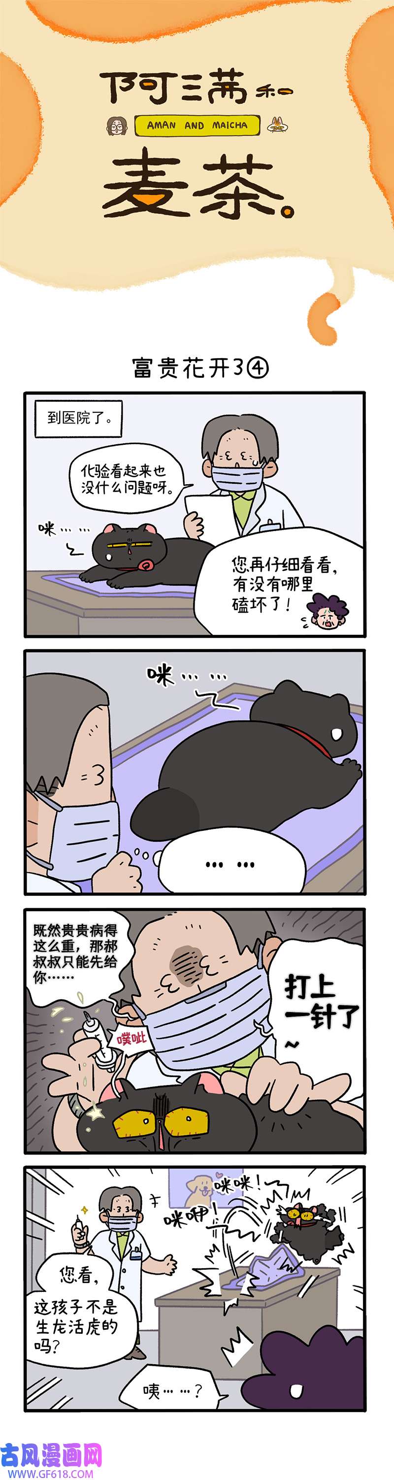 阿满和麦茶番外22下 富贵花开3（下）