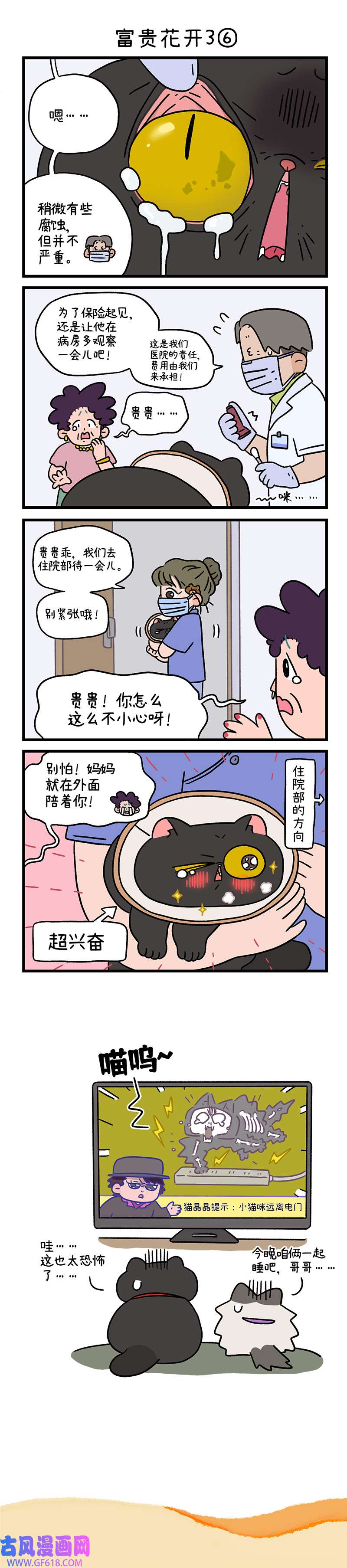 阿满和麦茶番外22下 富贵花开3（下）