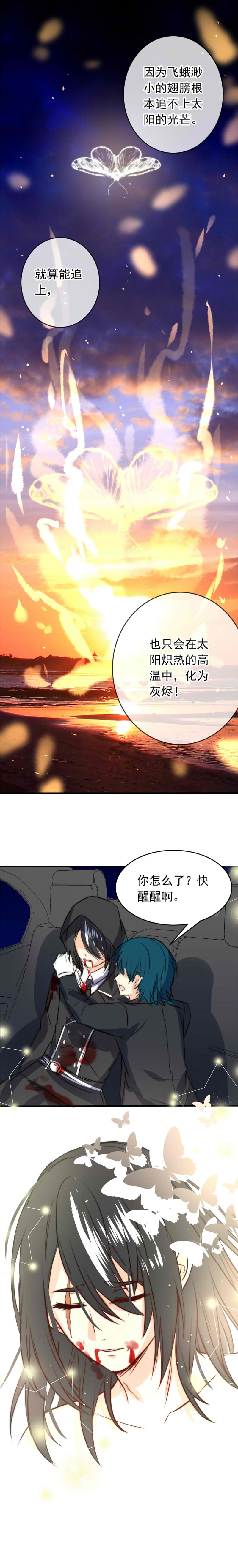 我愿为你献上黎明蛾