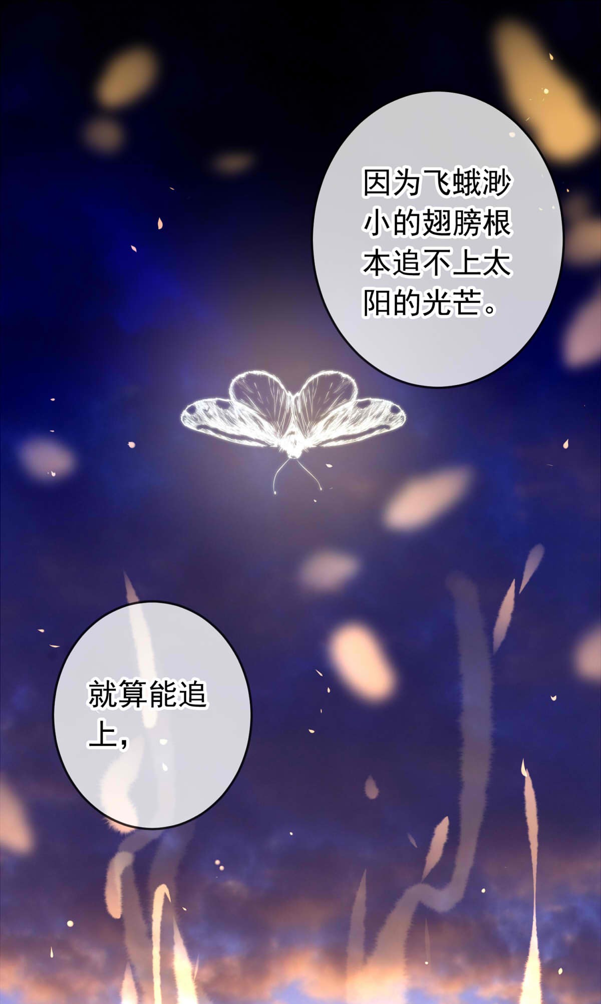 我愿为你献上黎明25 蛾