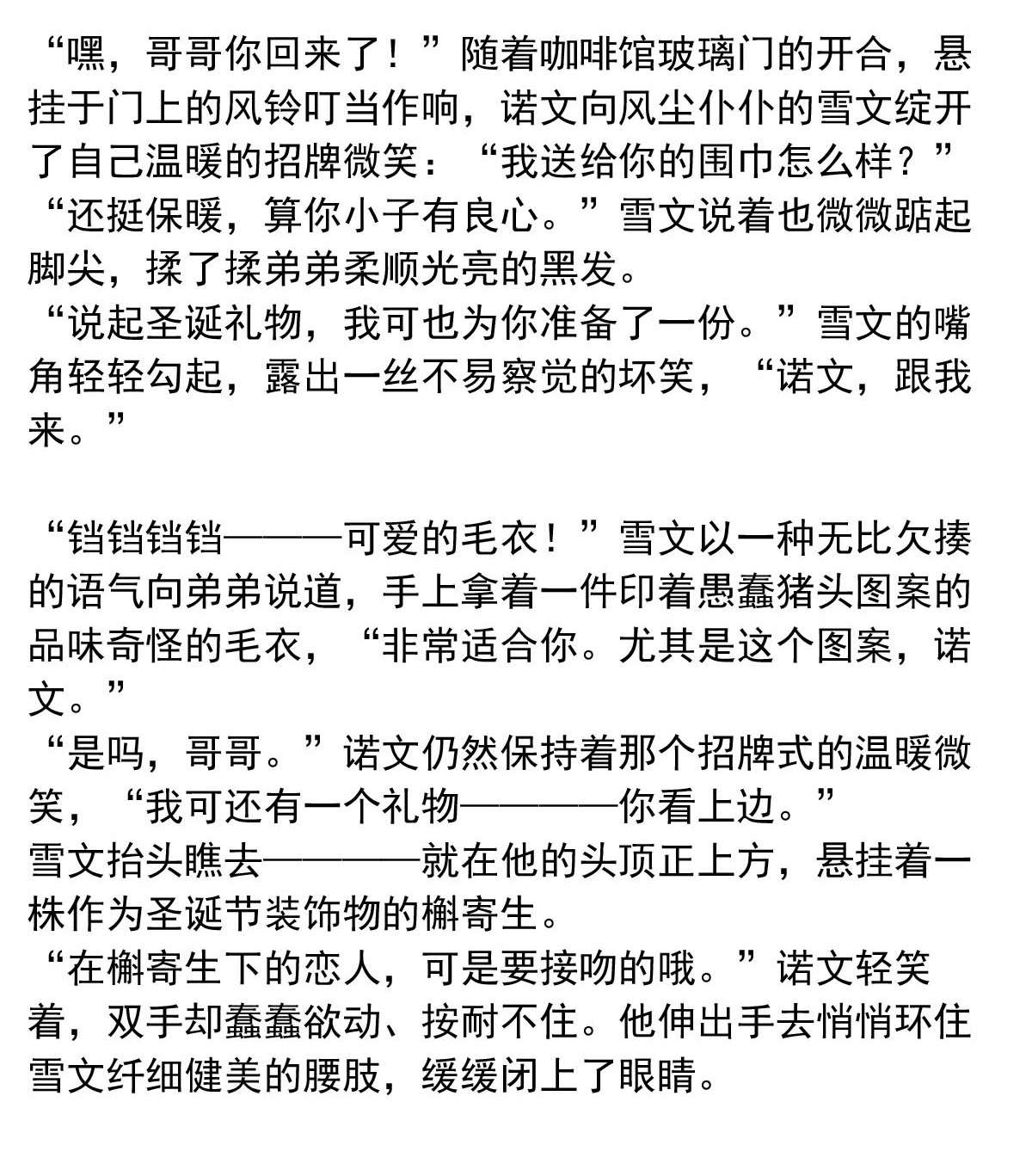我愿为你献上黎明28 喧嚣之夜（下）