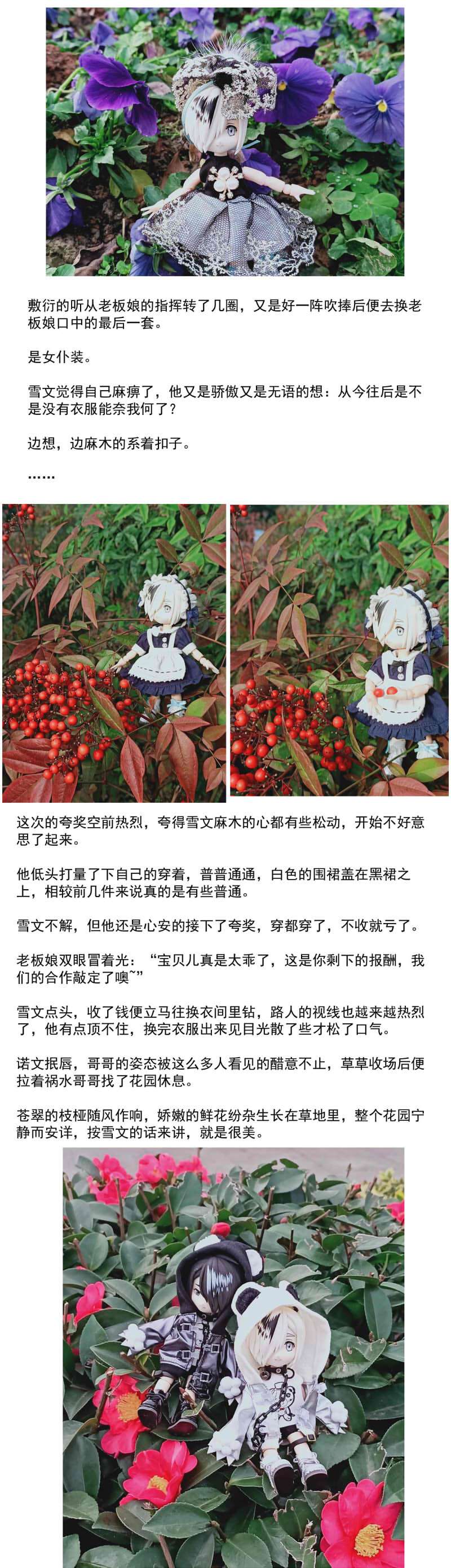 我愿为你献上黎明信