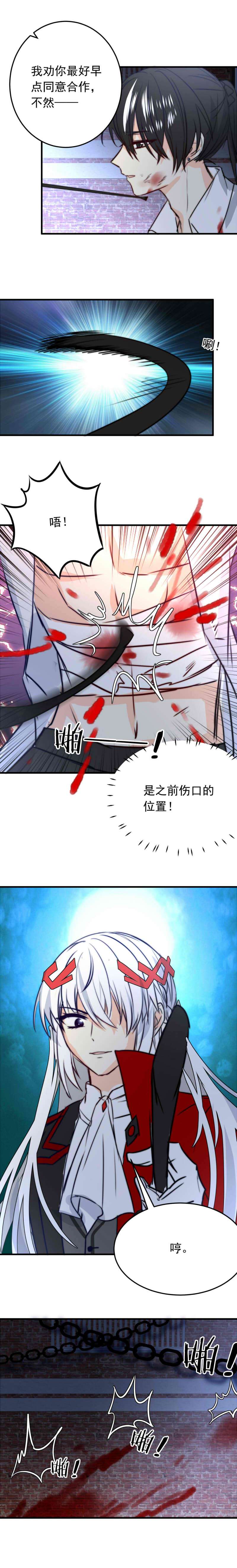 我愿为你献上黎明血