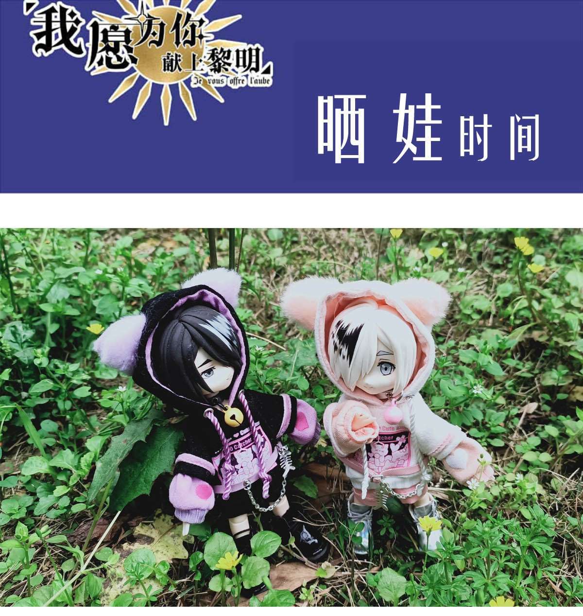 我愿为你献上黎明43 浅春（六）